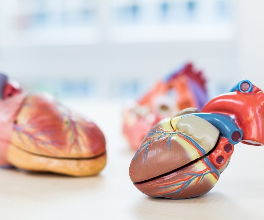 Cardiologicum Hamburg