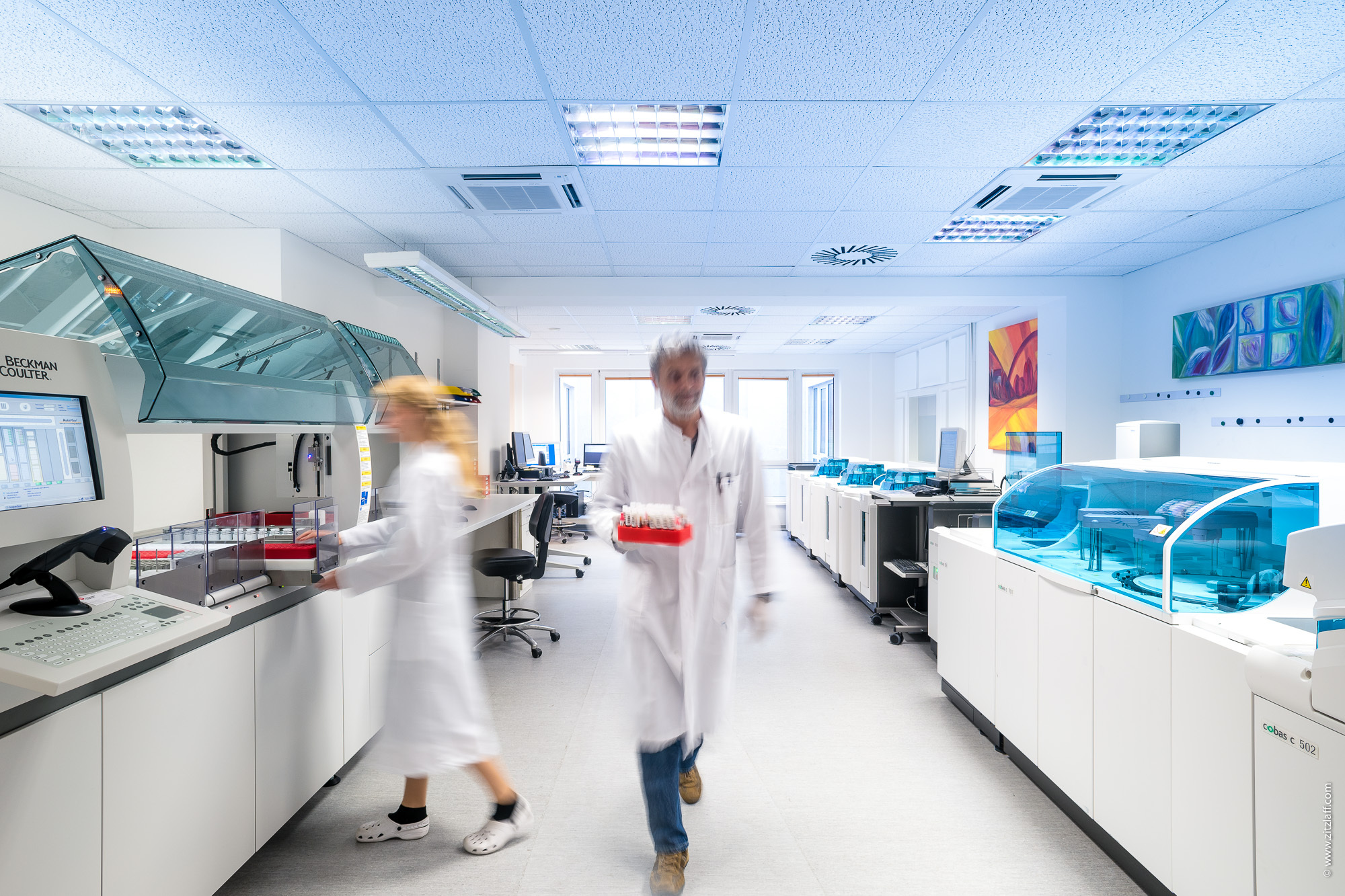 Hopa zitzlaff 2756 Labor1